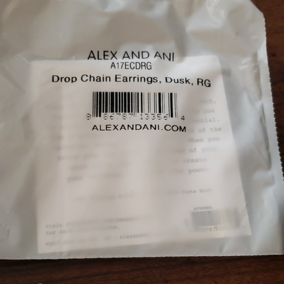 New in box Alexi & Ani chain earrings. - Picture 3 of 3